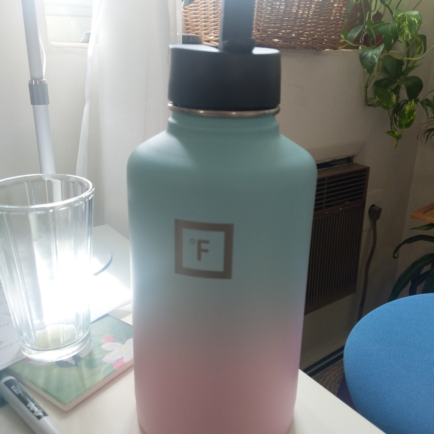 Bottle