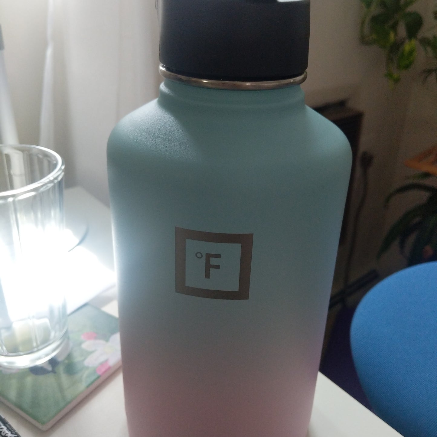 Bottle
